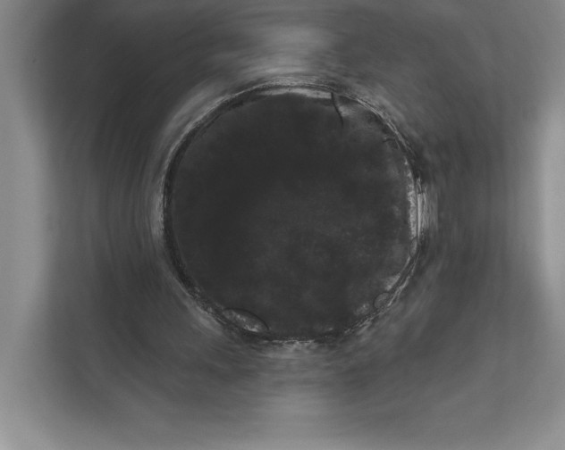X0000111460243200908031345