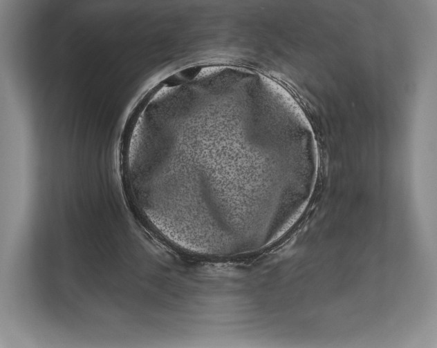 X0000111460244200908031345