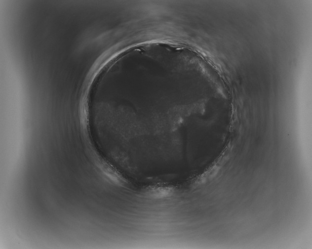 X0000111460247200908031345