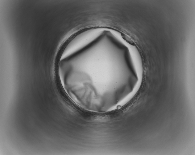 X0000111460248200908031345