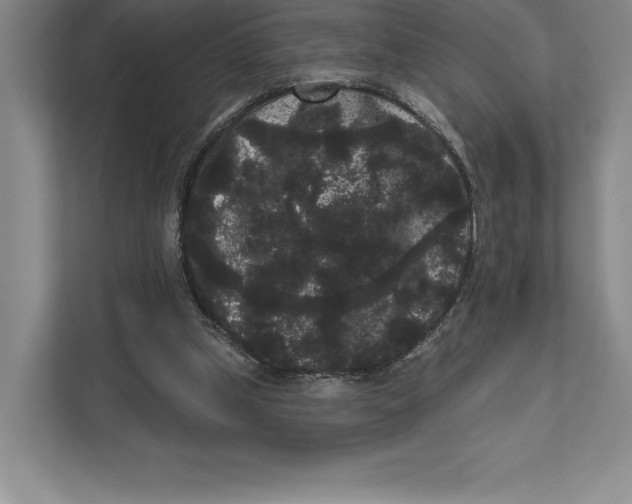 X0000111460249200908031345