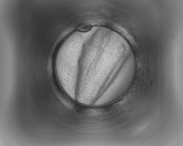 X0000111460250200908031345
