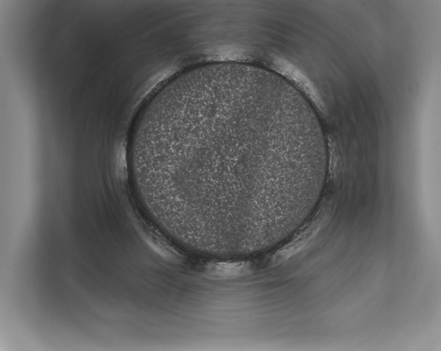 X0000111460251200908031345