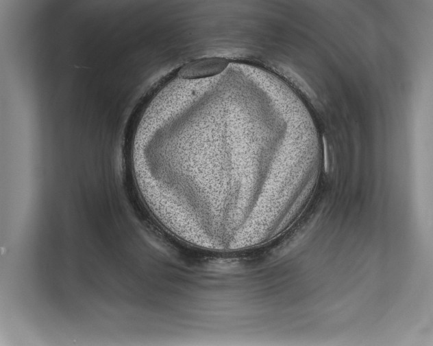 X0000111460252200908031345