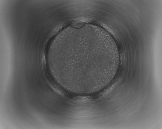 X0000111460254200908031345