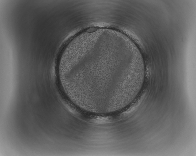 X0000111460256200908031345
