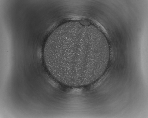 X0000111460257200908031345