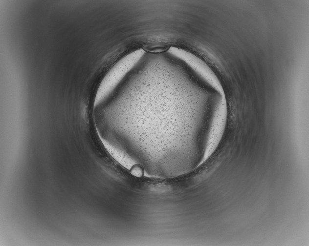 X0000111460258200908031345