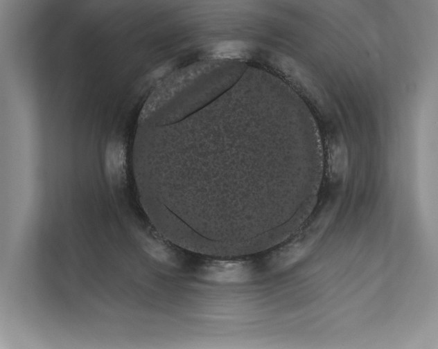 X0000111460260200908031345