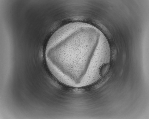 X0000111460261200908031345