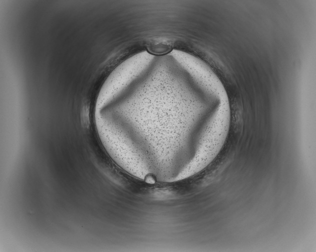 X0000111460262200908031345