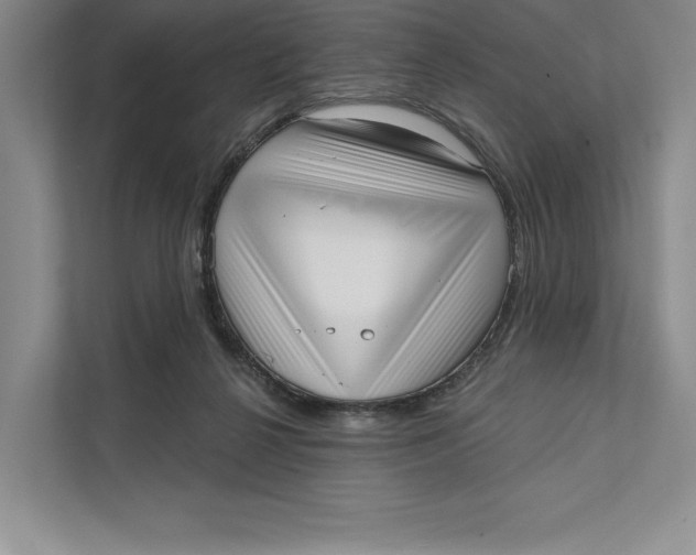 X0000111460264200908031345