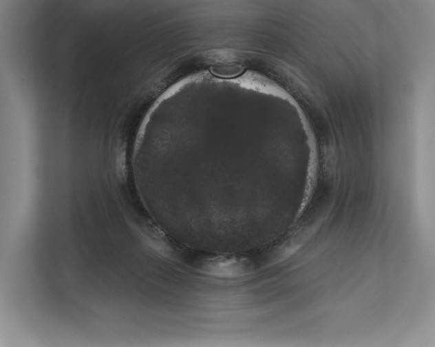 X0000111460267200908031346