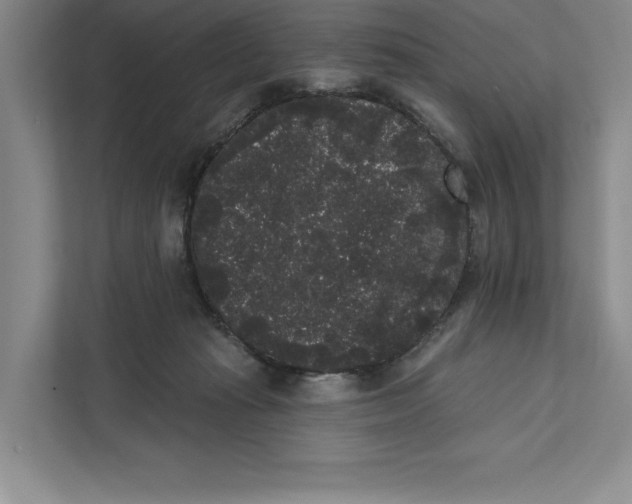 X0000111460269200908031346