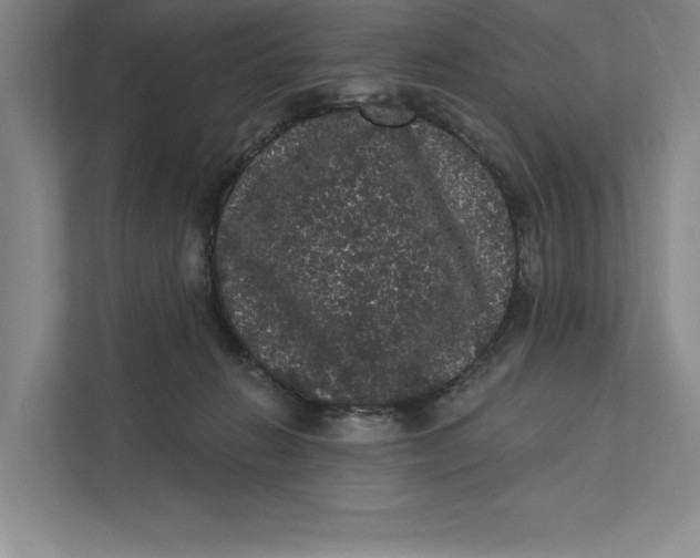 X0000111460270200908031346