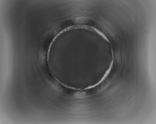 X0000111460271200908031346