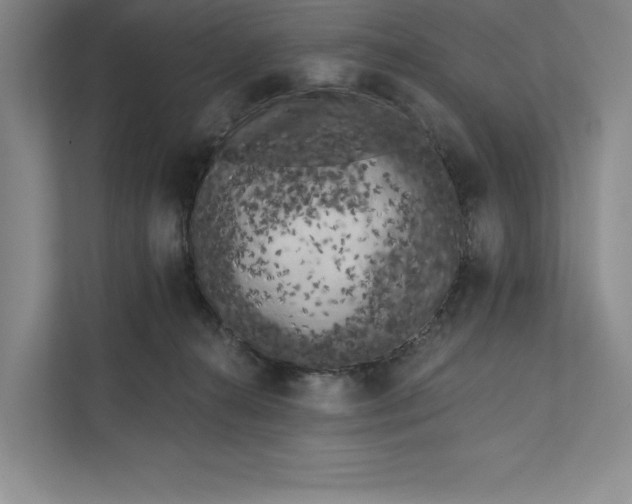 X0000111460272200908031346
