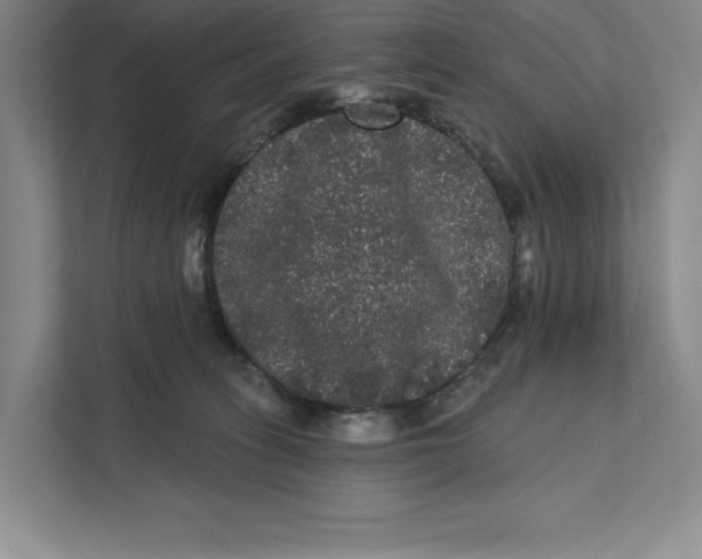 X0000111460275200908031346