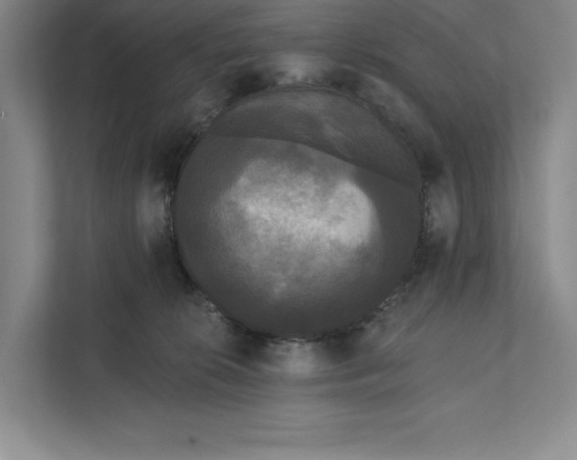 X0000111460276200908031346