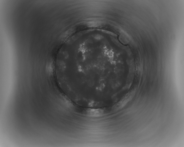 X0000111460277200908031346