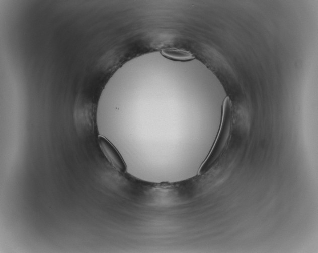 X0000111460280200908031346