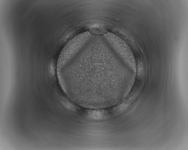 X0000111460282200908031346