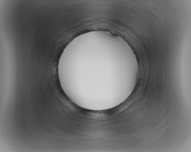 X0000111460284200908031346