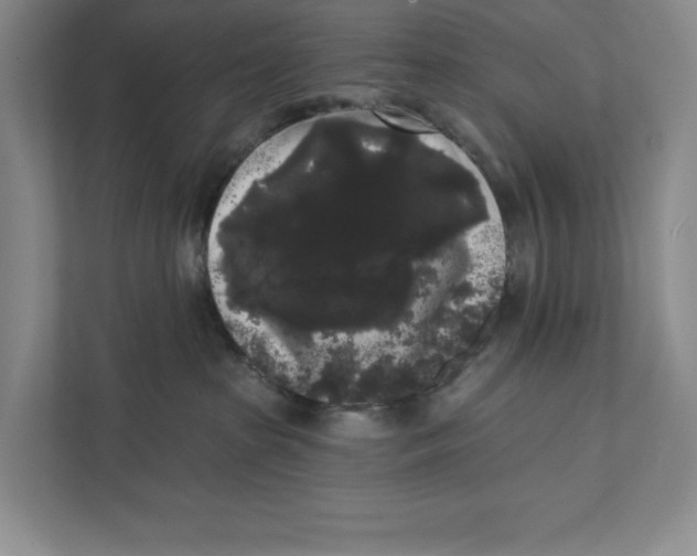 X0000111460285200908031346