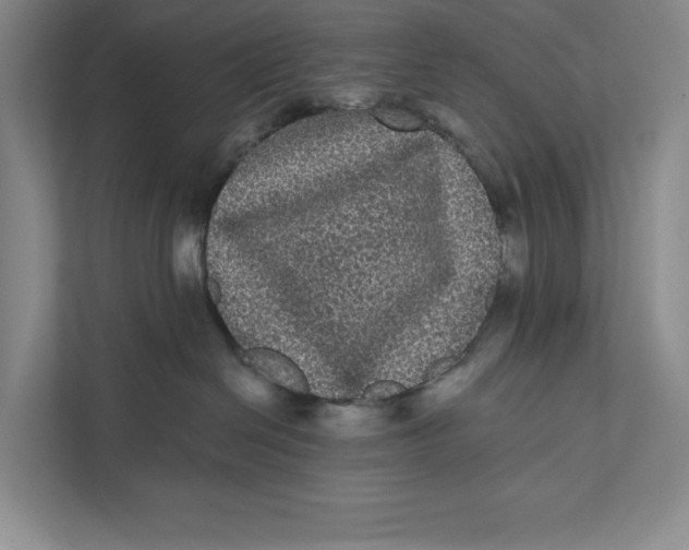 X0000111460286200908031346