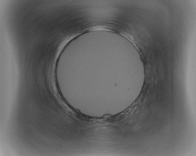 X0000111460289200908031345