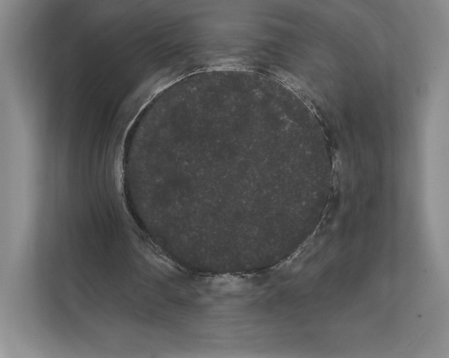 X0000111460290200908031345