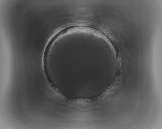 X0000111460292200908031345
