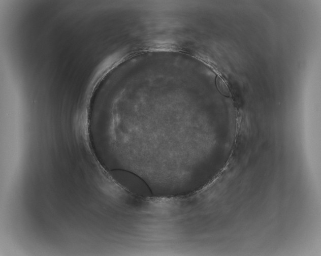 X0000111460293200908031345