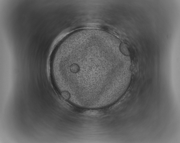 X0000111460294200908031345