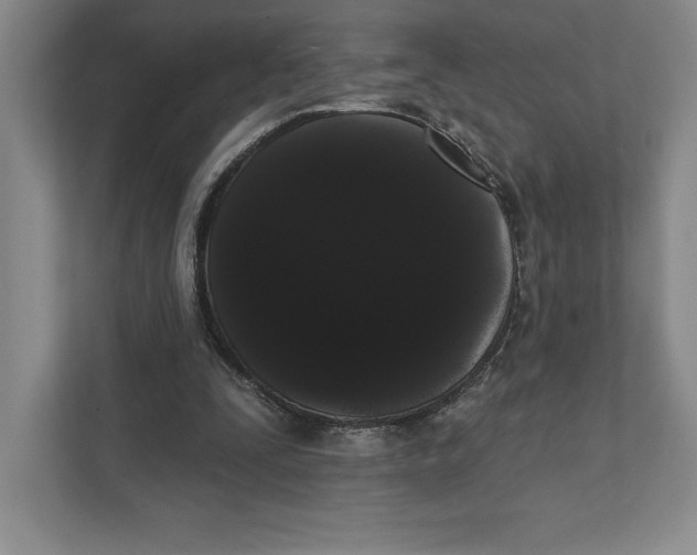 X0000111460295200908031345