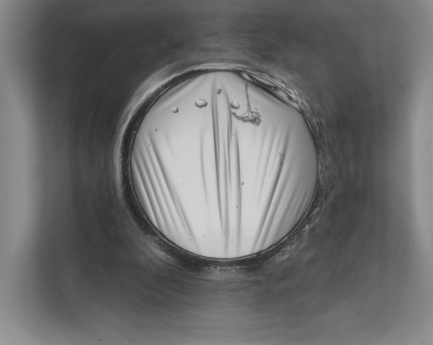 X0000111460296200908031345