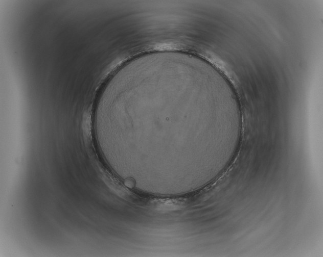 X0000111460297200908031345