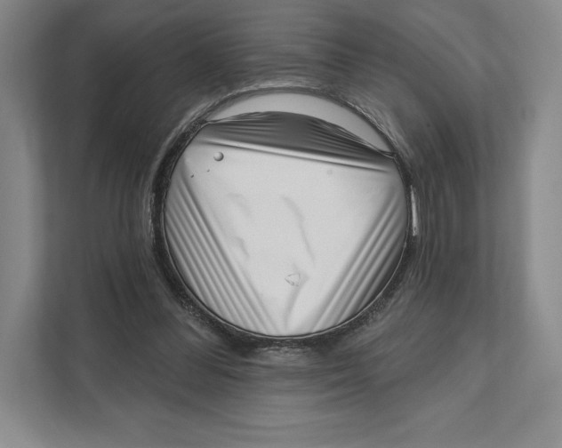 X0000111460300200908031345