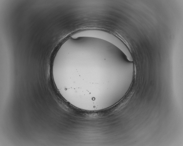 X0000111460301200908031345