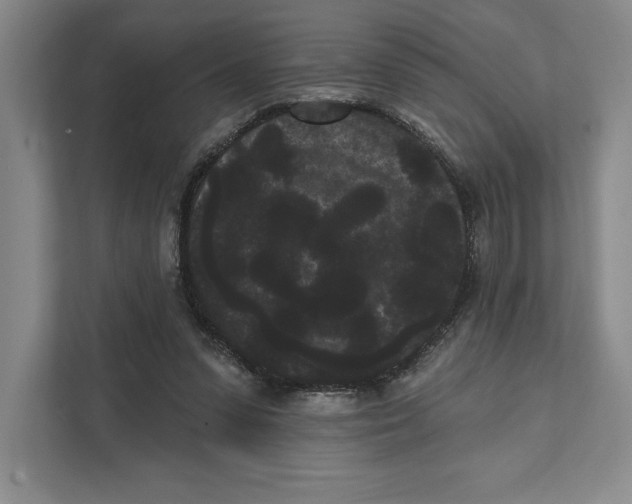 X0000111460303200908031345