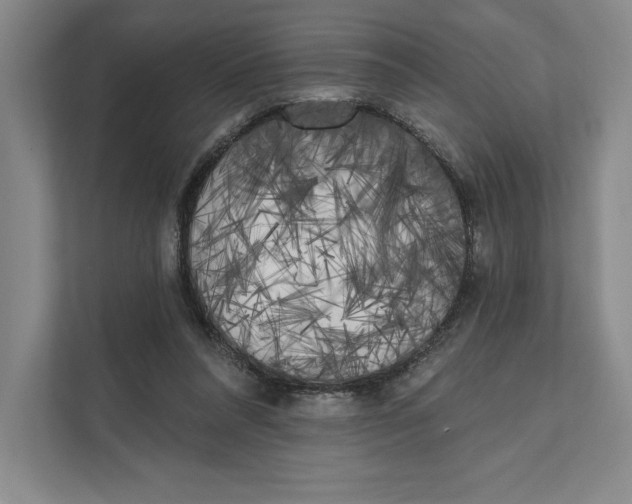 X0000111460304200908031345