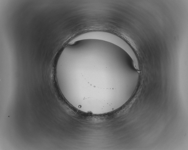 X0000111460305200908031345