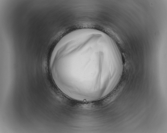X0000111460306200908031345