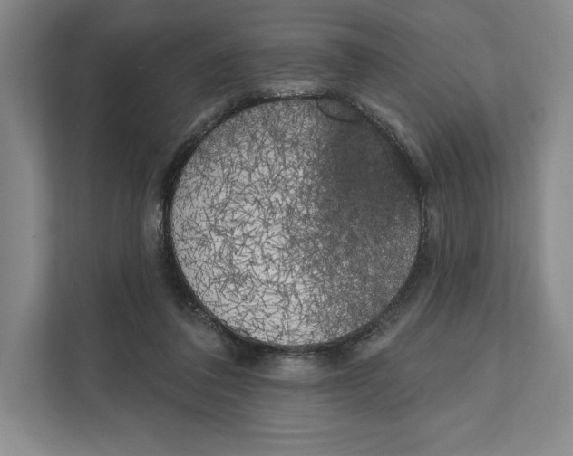 X0000111460308200908031345