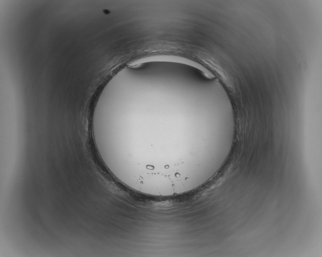 X0000111460309200908031345