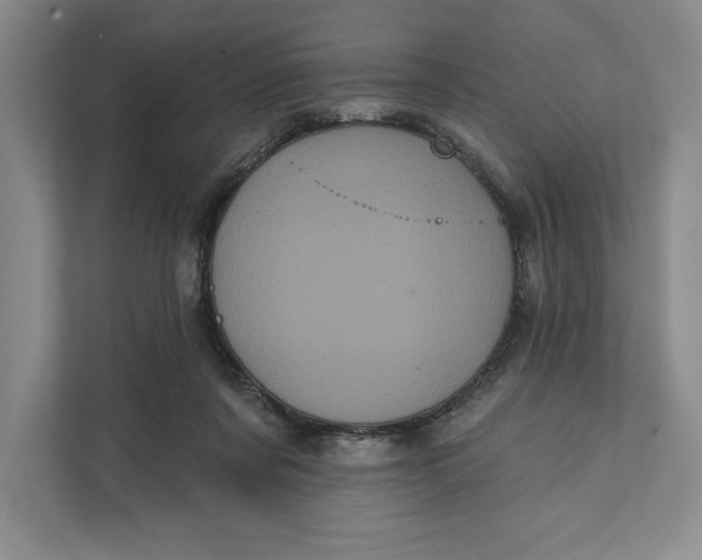 X0000111460311200908031345