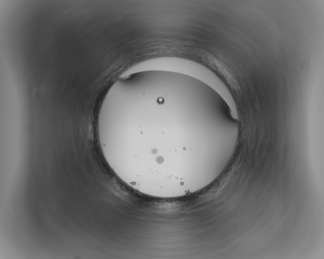 X0000111460313200908031345