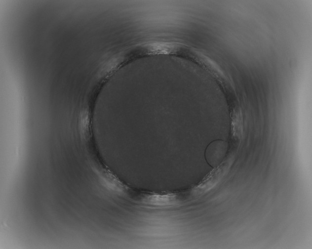X0000111460314200908031345