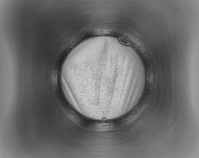 X0000111460315200908031345