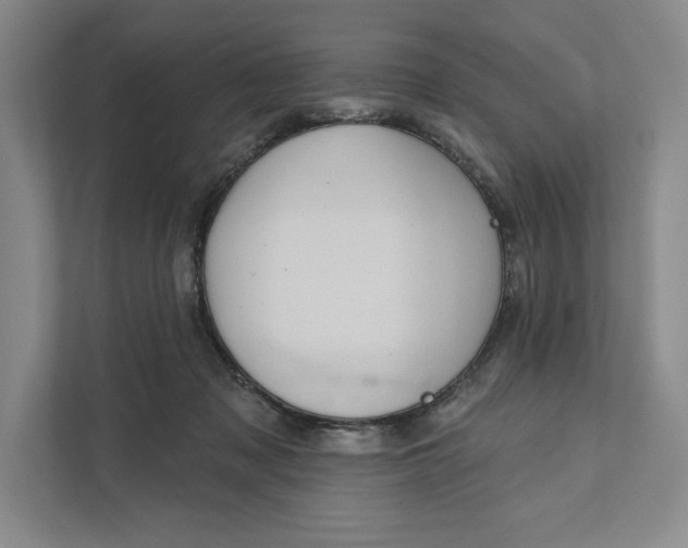 X0000111460317200908031345